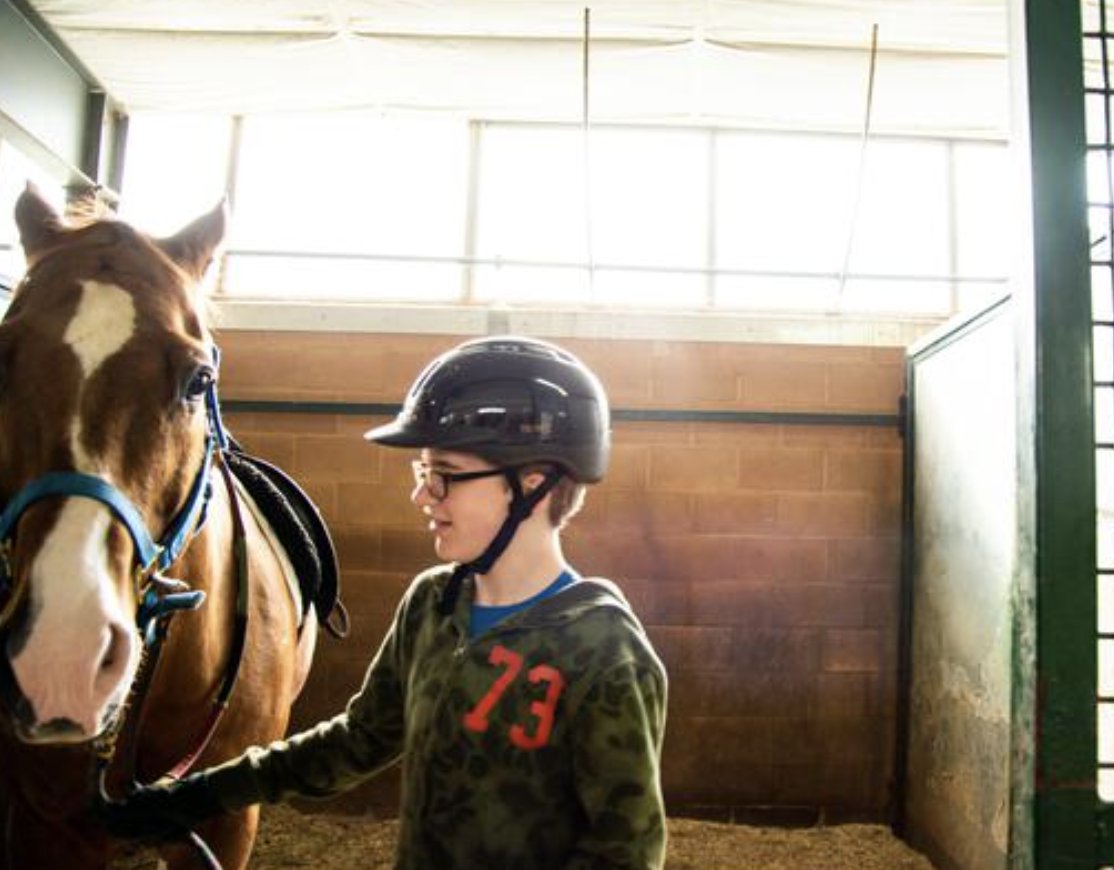 A boy with a horse in the arena
